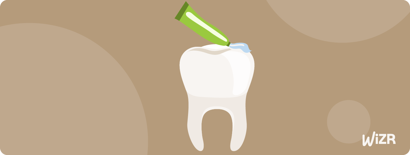 Unveiling BDS Full Form A Career Guide